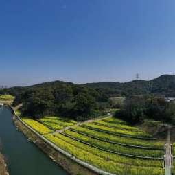 合肥湖畔新城最新消息速遞