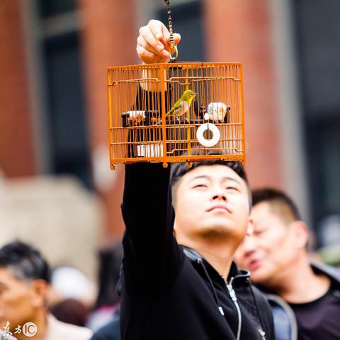 上海古玩地?cái)偸袌?chǎng)深度解析報(bào)告
