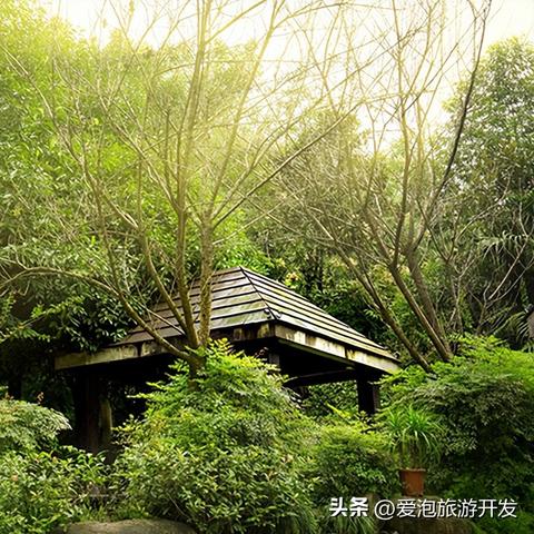 愛融匯最新新聞動態(tài)報道速遞