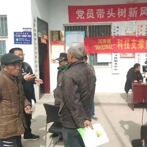 通許西瓜產(chǎn)地報價最新分析