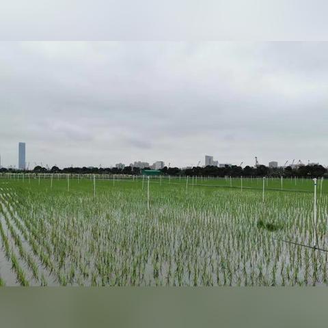 水利未來藍(lán)圖，高效可持續(xù)建設(shè)新定額揭秘，展望水利2025新篇章