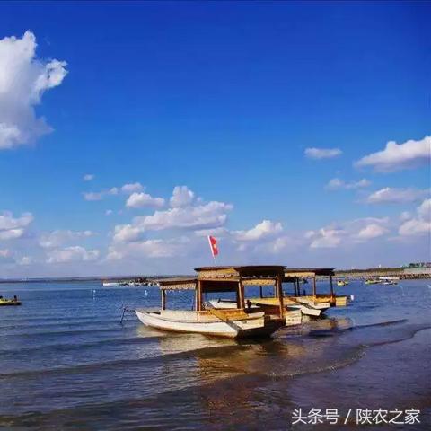 定邊小鎮(zhèn)最新招聘信息全匯總