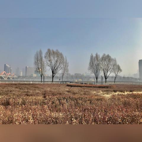 太原汾河橋最新規(guī)劃揭秘