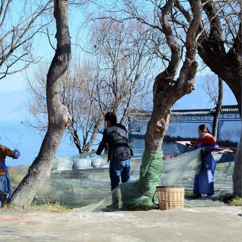 風(fēng)月資源研究報(bào)告，最新整理概覽