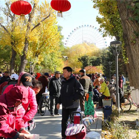 沈陽(yáng)地面波最新研究與應(yīng)用分析