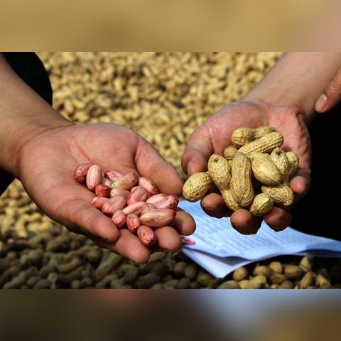 半導(dǎo)體照明器件制造 第146頁