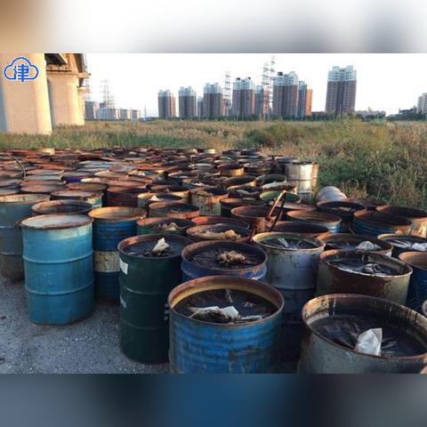 東麗區(qū)新聞速遞，最新報(bào)道匯總