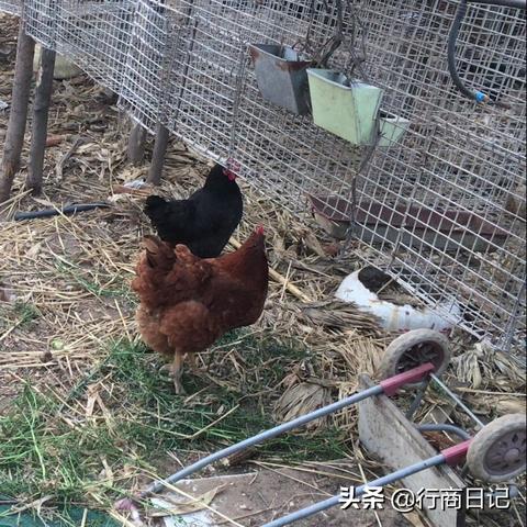 半導(dǎo)體照明器件制造 第138頁(yè)