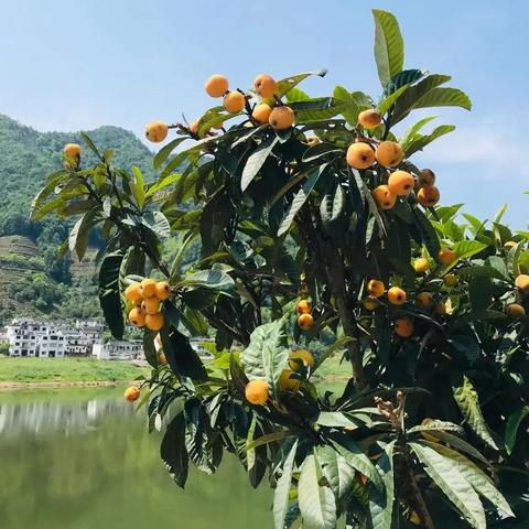 2025養(yǎng)殖建設(shè)新規(guī)定全面解析