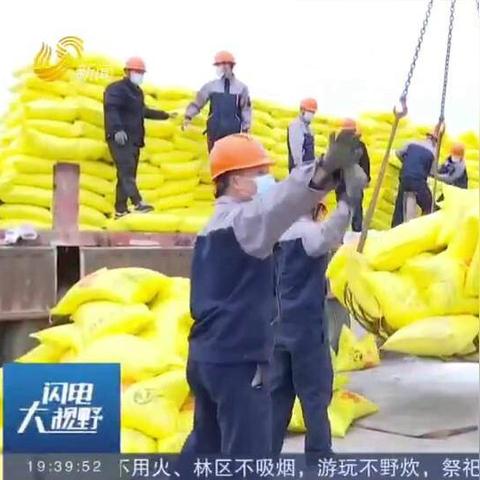 山東瑞星尿素最新市場行情分析