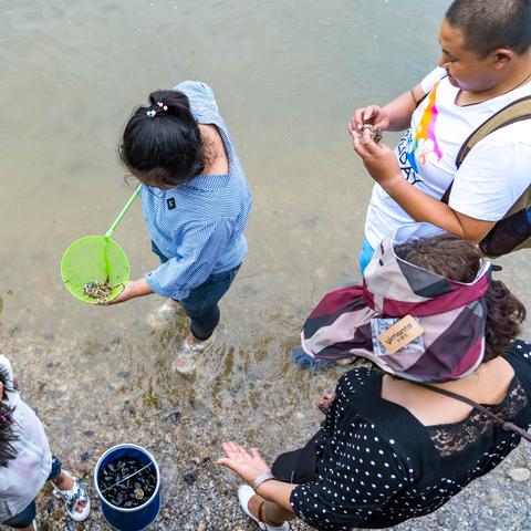 拾美海域?qū)崟r資訊更新