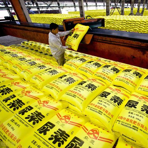 三寧化肥最新價格趨勢分析（2025年展望）