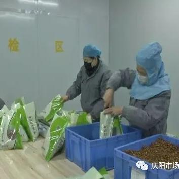 最新藥品變更報(bào)告，研發(fā)進(jìn)展與監(jiān)管動(dòng)態(tài)揭秘
