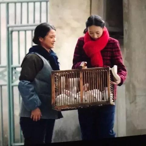 最新熱播網(wǎng)趨勢，數(shù)據(jù)揭示網(wǎng)絡(luò)熱潮揭秘