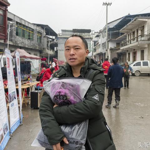 春節(jié)后招聘市場(chǎng)趨勢(shì)與數(shù)據(jù)洞察