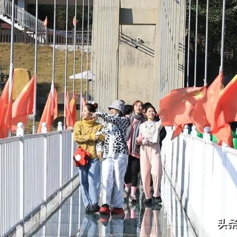 革新支付體驗，最新收款盒數(shù)字革命先鋒