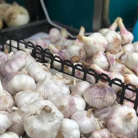 新發(fā)地市場(chǎng)最新動(dòng)態(tài)視頻發(fā)布，深度分析與趨勢(shì)觀察
