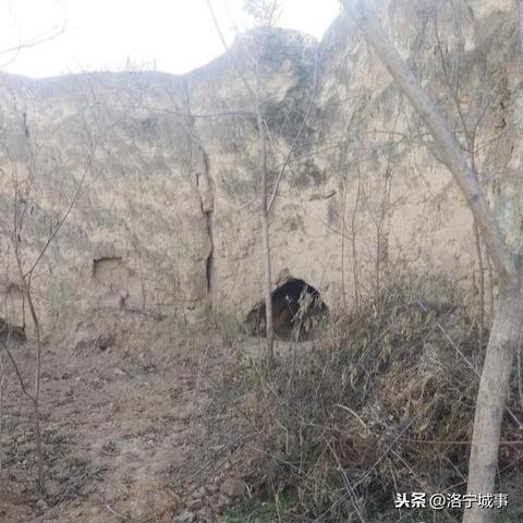 程姓人口數(shù)據(jù)報(bào)告，最新統(tǒng)計(jì)與分析