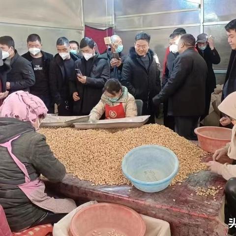 渭源黨參價(jià)格走勢(shì)分析